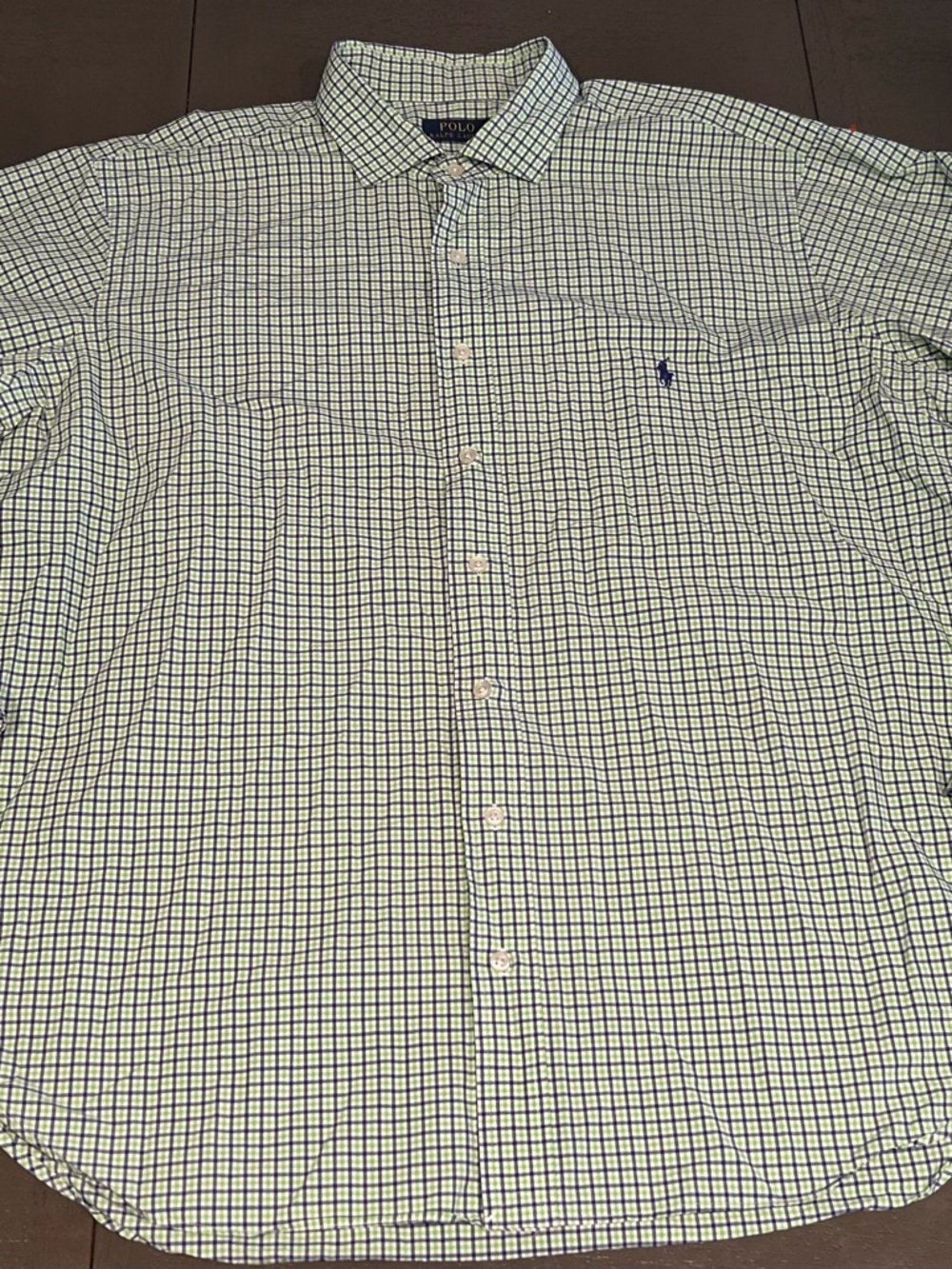 Polo by Ralph Lauren Green & Blue Check Button-Down Shirt